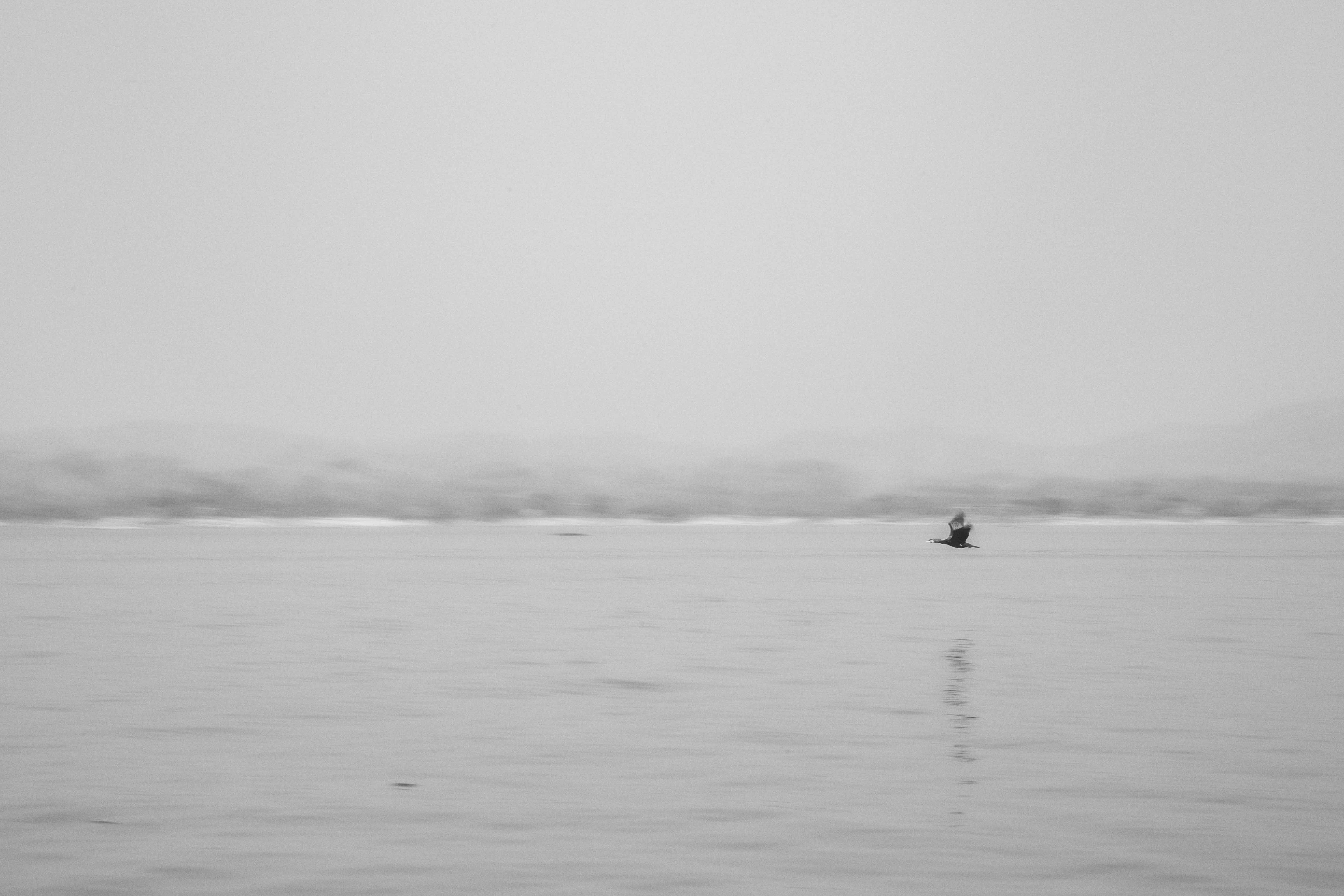 THE NOWHERE PEOPLE-09_Body_Leaky Arc .jpg-3